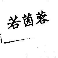 若茵蓉