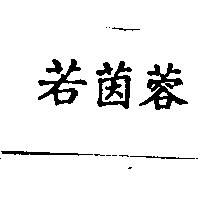 若茵蓉