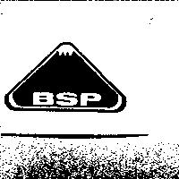 BPS 及圖