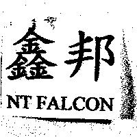 鑫邦 NT FALCON
