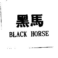黑馬 BLACK HORSE