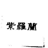 紫羅蘭