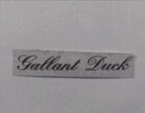 GALLANT DUCK 設計圖
