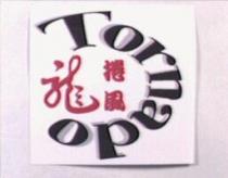 龍捲風 Tornado