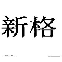 新格