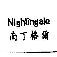 南丁格爾 NIGHTINGALE
