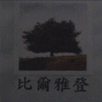比爾雅登