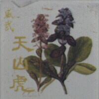 傑客