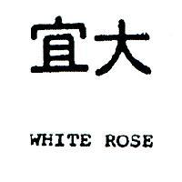 宜大 WHITE ROSE 