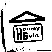Homey Gain 及圖
