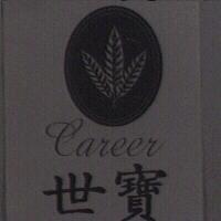 世寶 career 及圖