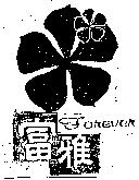 富雅及圖 FOREVER
