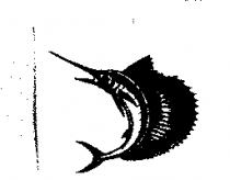 飛魚圖形