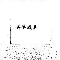 美夢成真