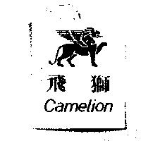 飛獅 Camelion 及圖