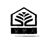 家樂美及圖