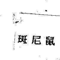 斑尼鼠