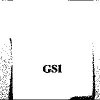 GSI