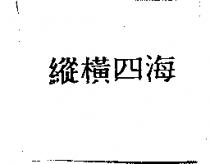 縱橫四海