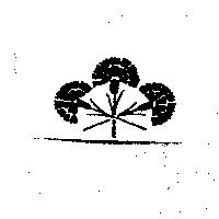 花朵設計圖
