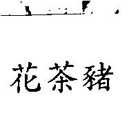花茶豬
