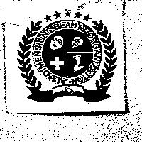 ALL DIMENSIONS BEAUTIFUL ORGANIZATION 及圖