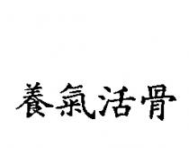 養氣活骨