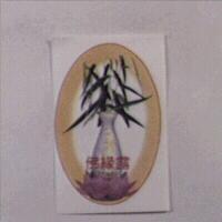 佛緣露及圖