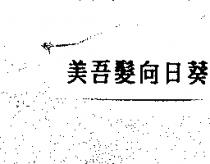 美吾髮向日葵