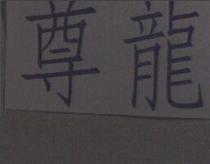 尊龍
