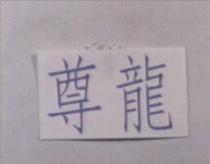 尊龍