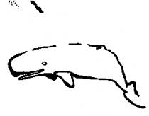 海鯨圖