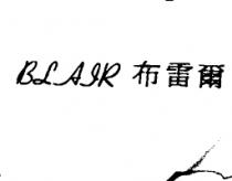 BLAIR + 布雷爾