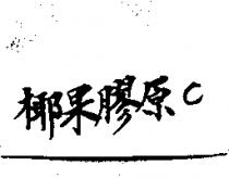 椰果膠原 C