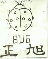 昆蟲圖