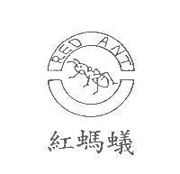 紅螞蟻及圖 RED ANT