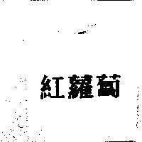 紅蘿蔔