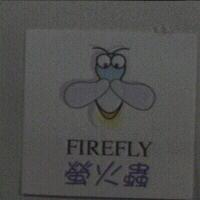 螢火蟲 FIREFLY 及圖