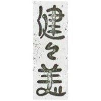 健健美
