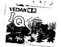 VEDAN 味丹 IQ 麵及圖