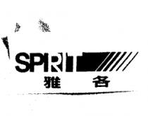 雅各及圖 SPIRIT