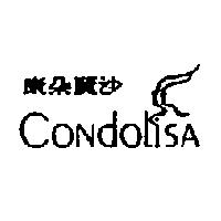 康朵麗沙 CoNdoLisA 及圖