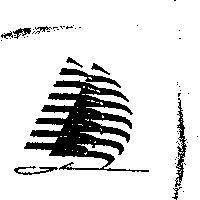 台鳳公司標章