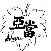 亞當及圖 ADAM 