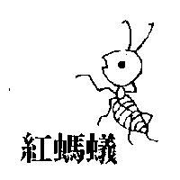 紅螞蟻及圖