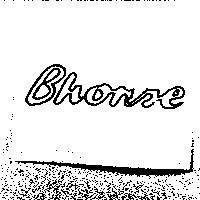 Bhorse