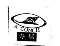 海螺 A CONCH 及圖