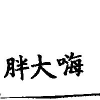 胖大嗨