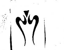 皇后設計圖