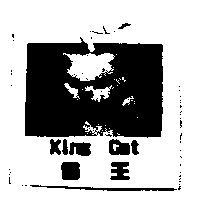 貓王及圖 King Cat